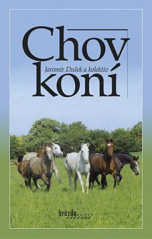 Chov koní