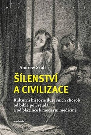 Šílenství a civilizace - Kulturní historie duševních chorob od bible po Freuda a od blázince k moderní medicíně