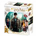 Harry Potter 3D puzzle - Harry, Hermiona, Ron 500 dílků