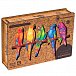 UNIDRAGON dřevěné puzzle - Papoušci, velikost S (33x19cm)