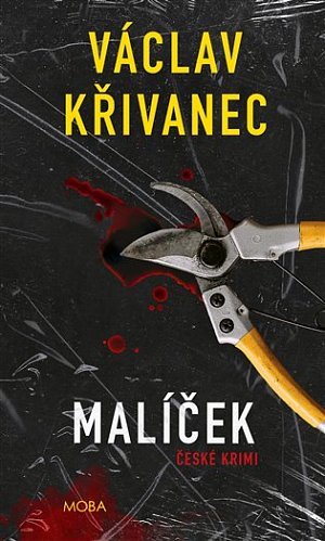 Malíček