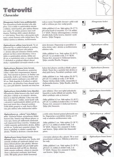 Náhled Akvarijní ryby - Velký obrazový atlas