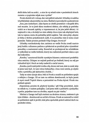 Náhled Tajemství Oblázkové hory