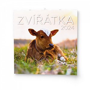 Zvířátka 2024 - nástěnný kalendář
