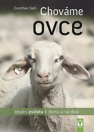 Chováme ovce - Ideální zvířata k domu a na dvůr