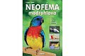 Neoféma modrohlavá - chovatelská příručka
