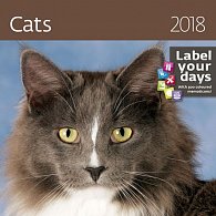 Kalendář nástěnný 2018 - Cats 300x300cm