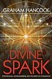 The Divine Spark : Psychedelics, Consciousness and the Birth of Civilization