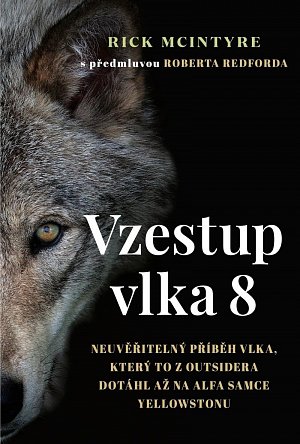 Vzestup vlka 8 - Neuvěřitelný příběh vlka, který to z outsidera dotáhl až na alfa samce Yellowstonu