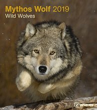 Kalendář Wild Wolves 2019 (30 x 34 cm)
