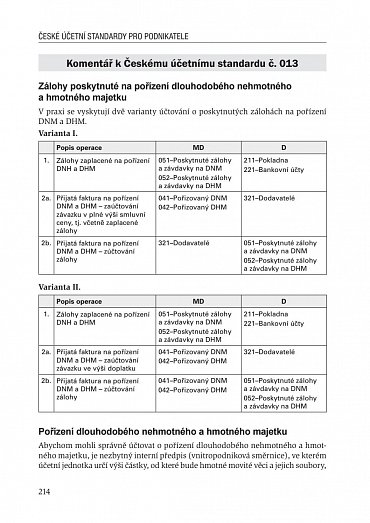 Náhled Účtová osnova, České účetní standardy, Postupy účtování pro podnikatele 2021