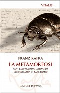 La metamorfosi (I)