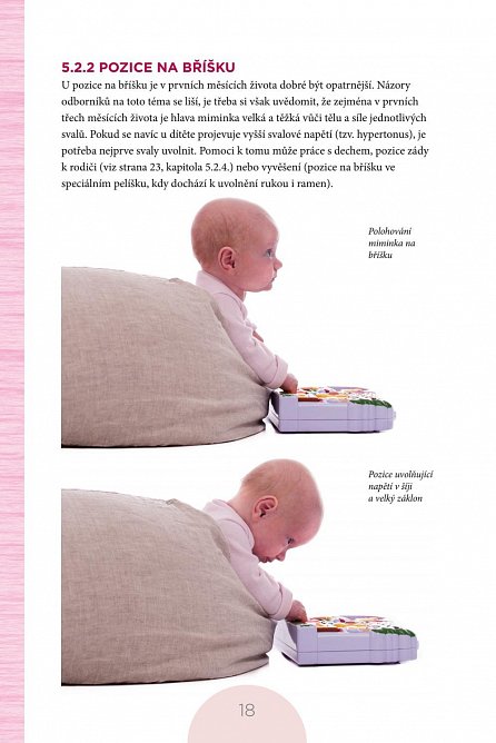 Náhled Nejlepší kniha o miminku...