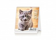 Kalendář 2021 stolní: Mini Kittens, 96x105