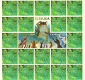 Zahrada - pexeso