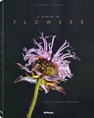 Richard Fischer: A Tribute to FLOWERS. Plants under Pressure