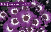 Pokojové květiny 2010 - stolní kalendář