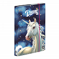 Box na sešity A4 - Unicorn 1
