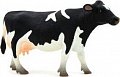 Kráva Holstein