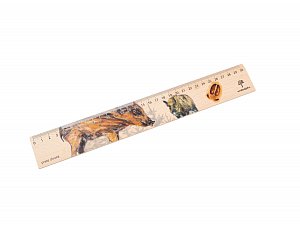Dřevěné pravítko 30 cm prase divoké