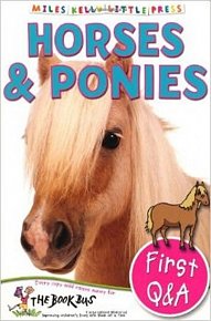 Horses and Ponies (First Q&A)