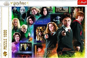 Trefl Puzzle Harry Potter - Kouzelnický svět/1000 dílků