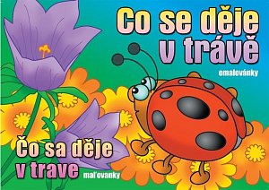 Omalovánky - Co se děje v trávě