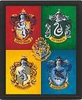 Harry Potter Obraz 3D - barevný