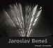 Jaroslav Beneš - Fotografie / Photographs