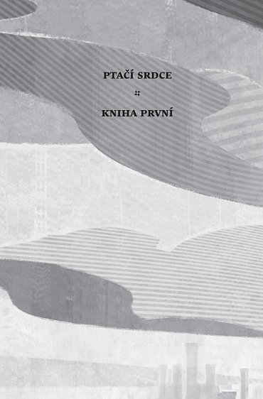 Náhled Poloviční král