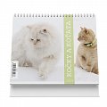 Kočky a koťata 2024 - stolní kalendář