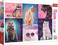 Trefl Puzzle Super kočky/1000 dílků Neon Col
