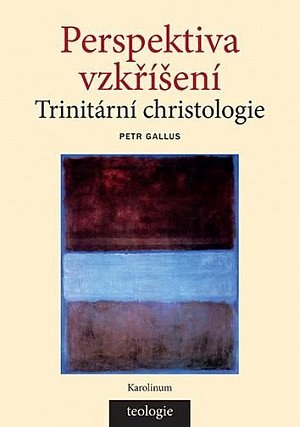 Perspektiva vzkříšení - Trinitární christologie