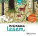 Procházka lesem - následuj cestu