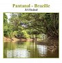 Pantanal – Brazílie