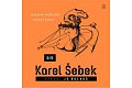 Úzkost je rozkoš II/II…nejsem nebudu nebyl jsem