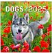 NOTIQUE Poznámkový kalendář Psi 2025, 30 x 30 cm
