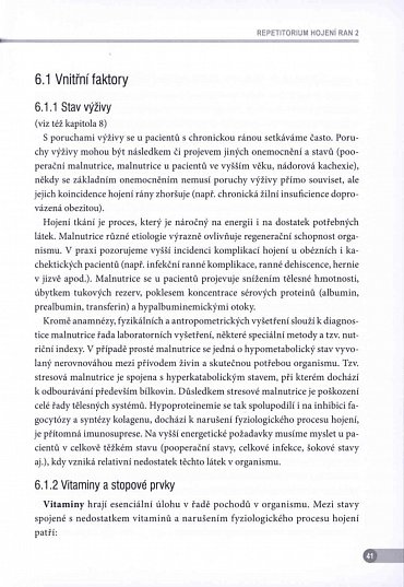 Náhled Repetitorium hojení ran 2