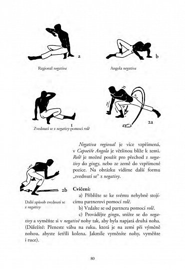 Náhled Malá kniha capoeiry