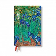 2025 DP 12 / Van Gogh’s Irises / Mini / Verso