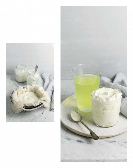 Náhled Jogurtista - Návod na přípravu různých typů domácího jogurtu a recepty pro jeho další využití