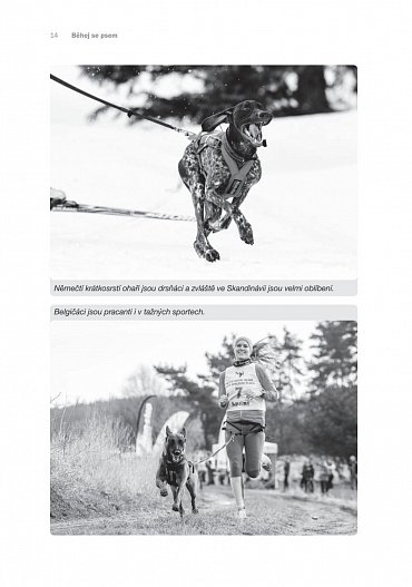 Náhled Běhej se psem - Kompletní průvodce světem společného běhání se psy
