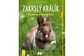 Zakrslý králík: Šťastně prohopkaný život - Jak na to