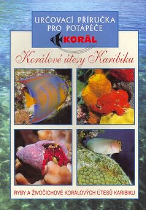 Korálové útesy v karibiku - Určovací příručka pro potapěče - Ryby a živočichové korálových útesů Karibiku