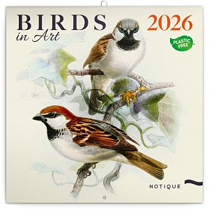 Kalendář 2026 poznámkový: Ptáčci 30 x 30 cm