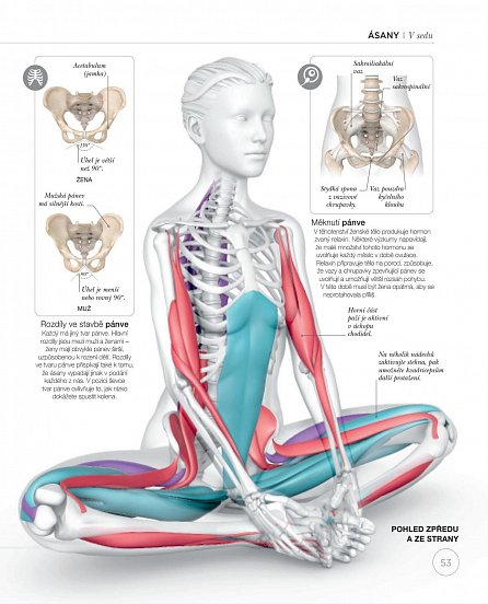 Náhled Jóga z pohledu anatomie