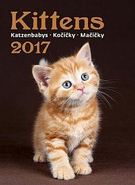 Kalendář nástěnný 2017 - Kočičky