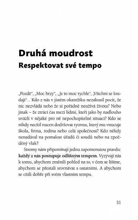 Náhled 12 moudrostí stromů