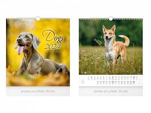 Malý Dogs 2024 - nástěnný kalendář