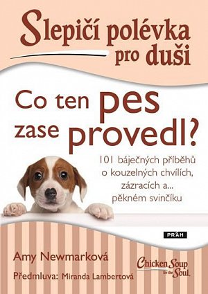 Slepičí polévka pro duši - Co ten pes zase provedl?